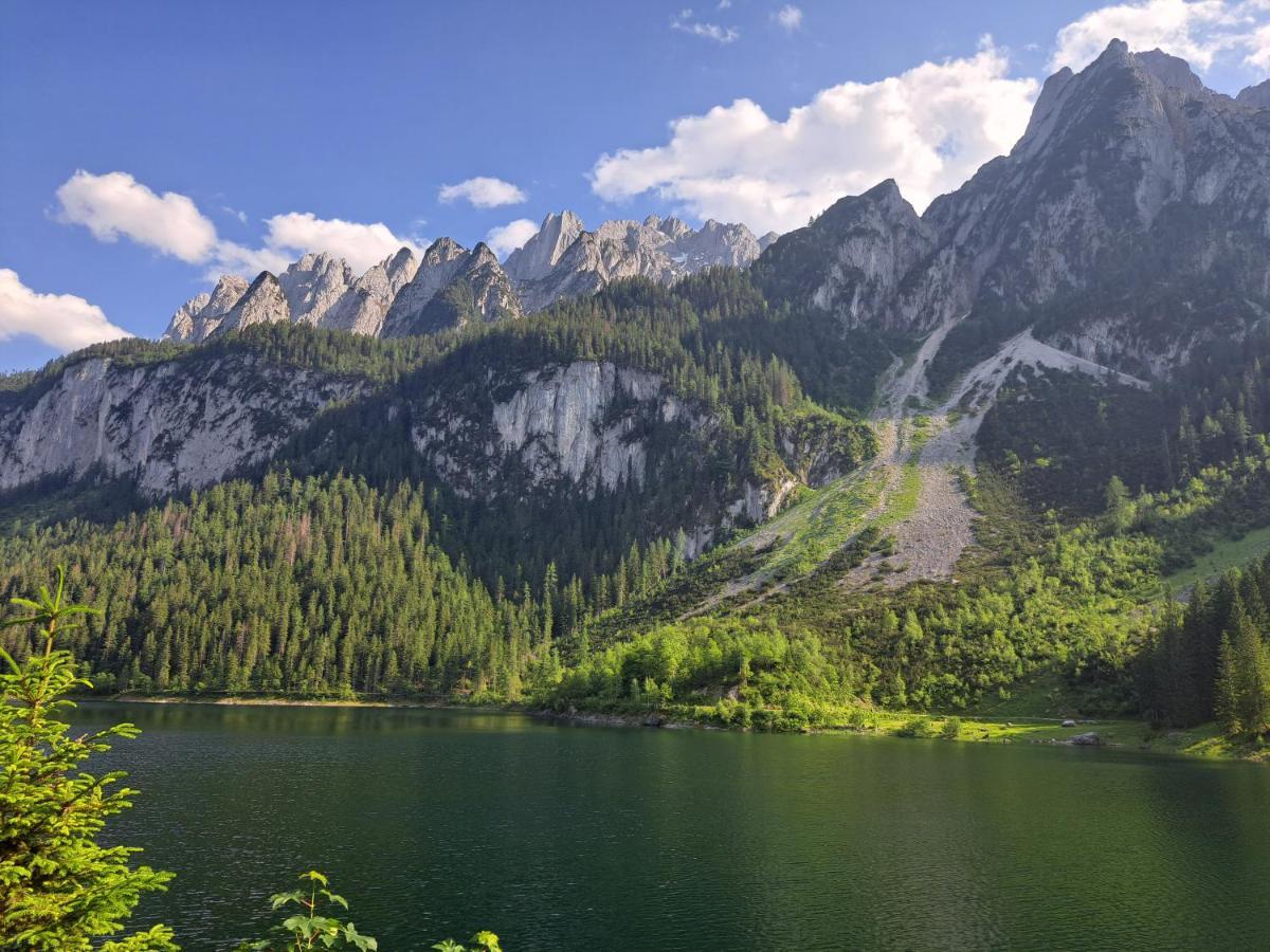 กาสท์ฮอฟ วาลดวีร์ท Hotel รุสบาค อัม พาสเกอชุตต์ ภายนอก รูปภาพ